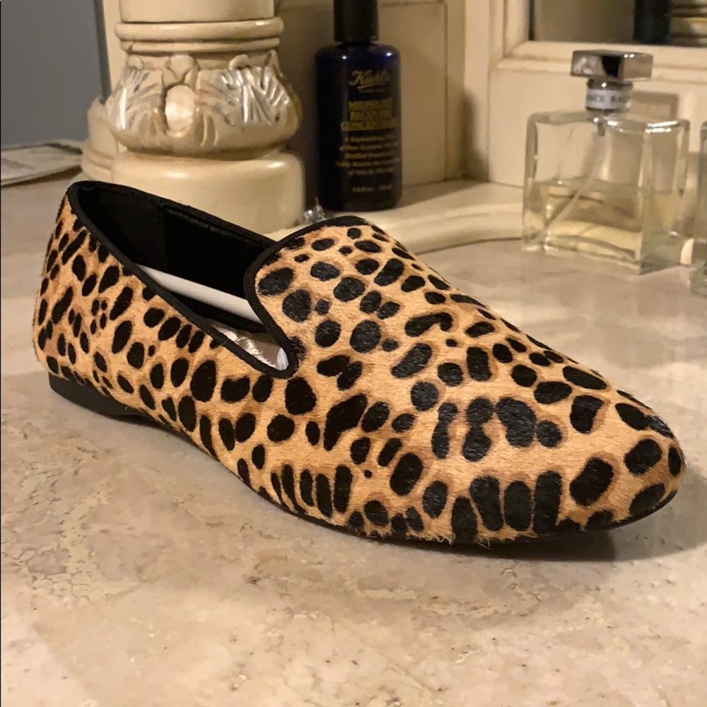 Birdies The Starling | Cheetah